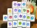 שפּיל Spring Flower אָנליין