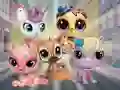 שפּיל Little Pet Shop: Hide and Seek אָנליין