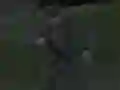 שפּיל Soviet Sniper אָנליין