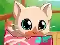 שפּיל My Pocket Pets Kitty Cat אָנליין