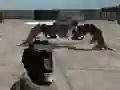 שפּיל Mech Aggression אָנליין