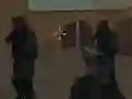 שפּיל Counter Terrorist Strike אָנליין