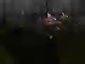 שפּיל Zombie Survival אָנליין