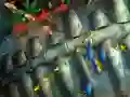 שפּיל Fishing King אָנליין
