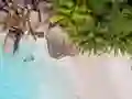 שפּיל Seychelles Beach Jigsaw Puzzle אָנליין