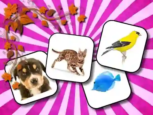 שפּיל Animals Memory אָנליין