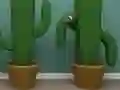 שפּיל Cactus Cube אָנליין
