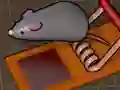 שפּיל Feed the Mouse אָנליין