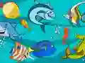 שפּיל Fish Differences אָנליין