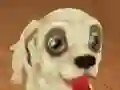 שפּיל Pet Run Adventure אָנליין