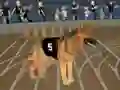 שפּיל Crazy Dog Racing Fever אָנליין