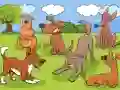 שפּיל Animals Differences אָנליין