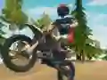 שפּיל Dirt Bike Enduro Racing אָנליין