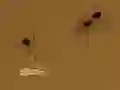שפּיל Save the crumb אָנליין