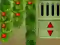 שפּיל New Year 2021 Escape אָנליין