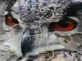 שפּיל Wild owl Jigsaw אָנליין
