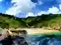 שפּיל Parrot House Escape אָנליין