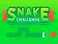 שפּיל Snake Challenge אָנליין
