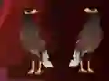 שפּיל Peikin Duck Escape אָנליין