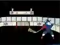 שפּיל Capitaine Cage Hockey אָנליין