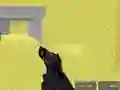 שפּיל Pixel Combat Multiplayer אָנליין