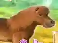 שפּיל My Dear Pony אָנליין