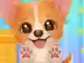 שפּיל Adopt Your Pet Puppy אָנליין