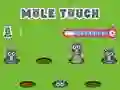 שפּיל Pole Touch אָנליין