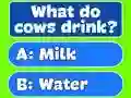 שפּיל Trivia Best Family Quiz אָנליין