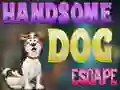 שפּיל Handsome Dog Escape אָנליין