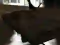 שפּיל Drift Z אָנליין