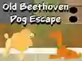 שפּיל Old Beethoven Dog Escape אָנליין