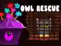 שפּיל Owl Rescue אָנליין