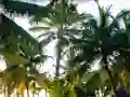 שפּיל Golden Statue Escape אָנליין
