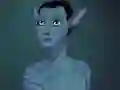 שפּיל Navi Maker אָנליין