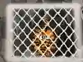 שפּיל Tiger Escape 1 אָנליין