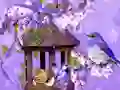 שפּיל Wonderful Humming Bird Land Escape אָנליין