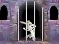 שפּיל Victory Rabbit Escape אָנליין
