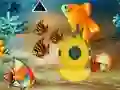 שפּיל Save The Mother Fish אָנליין