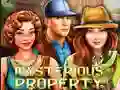 שפּיל Mysterious Property אָנליין