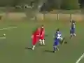 שפּיל Quiz-Referee אָנליין