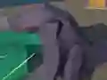 שפּיל Hakaiju אָנליין