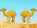 שפּיל Desert Gold Rush The Great Treasure Escape אָנליין