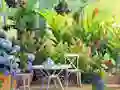 שפּיל Find The Cute Pandas אָנליין
