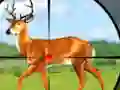 שפּיל Wild Hunt Hunting Games 3D אָנליין