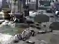 שפּיל Friends Rescue From Skeleton אָנליין