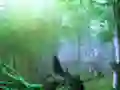 שפּיל Trapped Honeybee Escape אָנליין