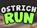 שפּיל Ostrich Run אָנליין