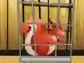 שפּיל Rescue The Red Squirrel From Cage אָנליין