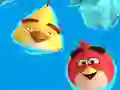 שפּיל Coloring Book: Angry Birds אָנליין
